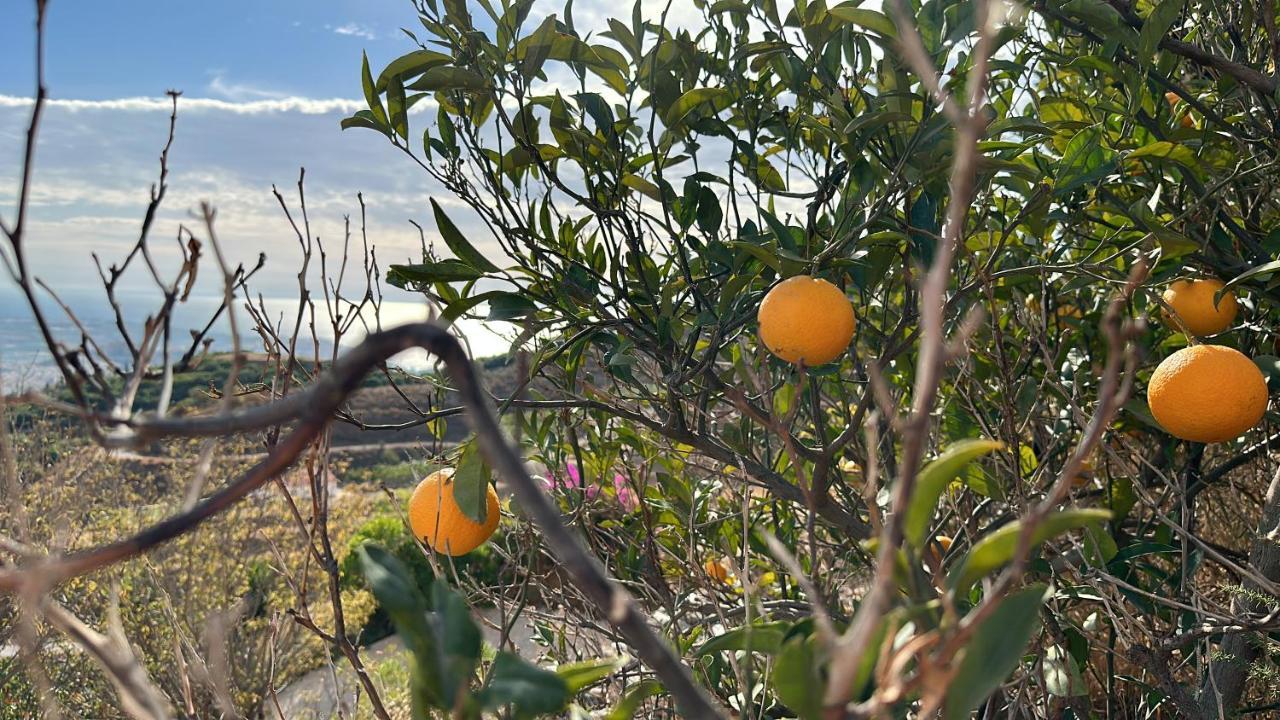 El Paraiso De Salobreña Εξωτερικό φωτογραφία